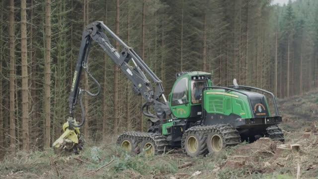 BSW Timber